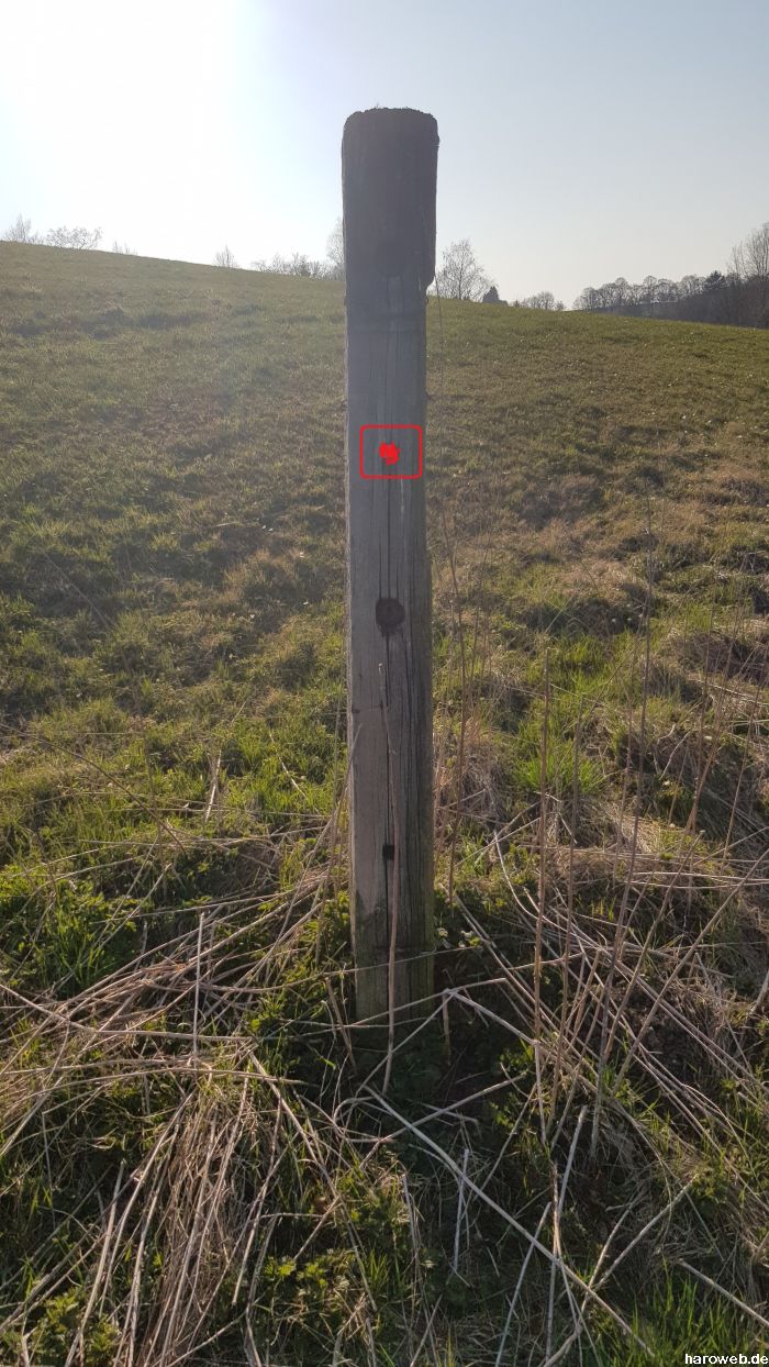 Hier fehlt noch das Bild